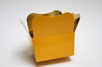 images/productimages/small/geel.jpg
