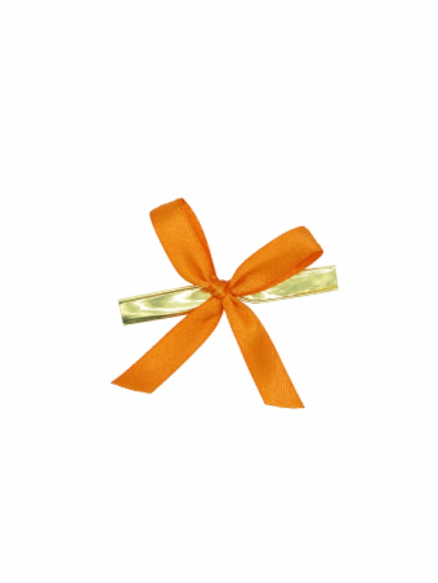 Strikje op clip - oranje
