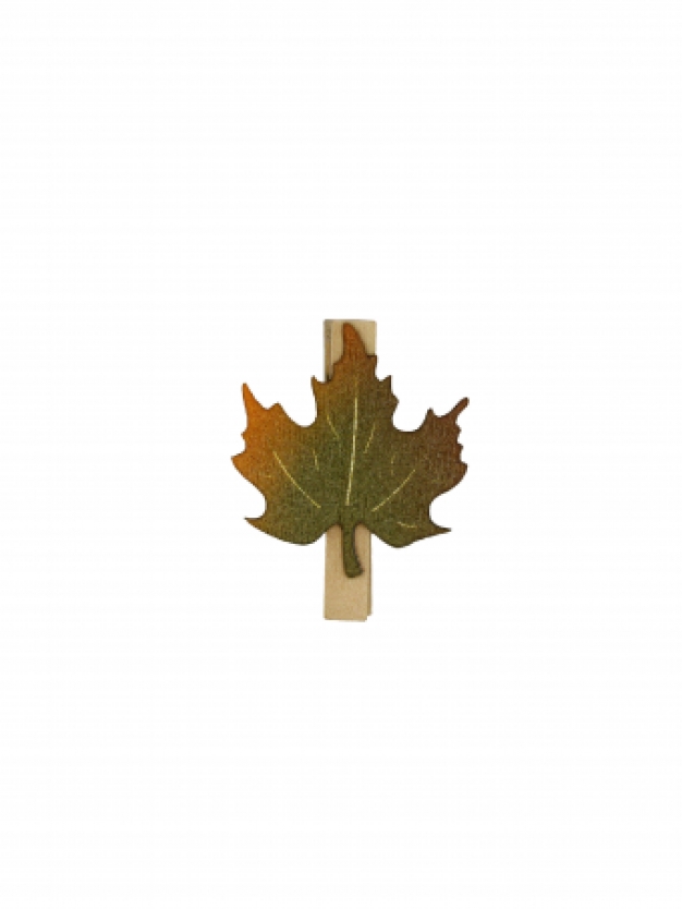 Knijpertje herfstblad groen