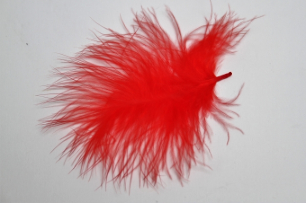 Veertjes rood